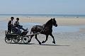 _D3X2196-Marathon des dunes de Fland
